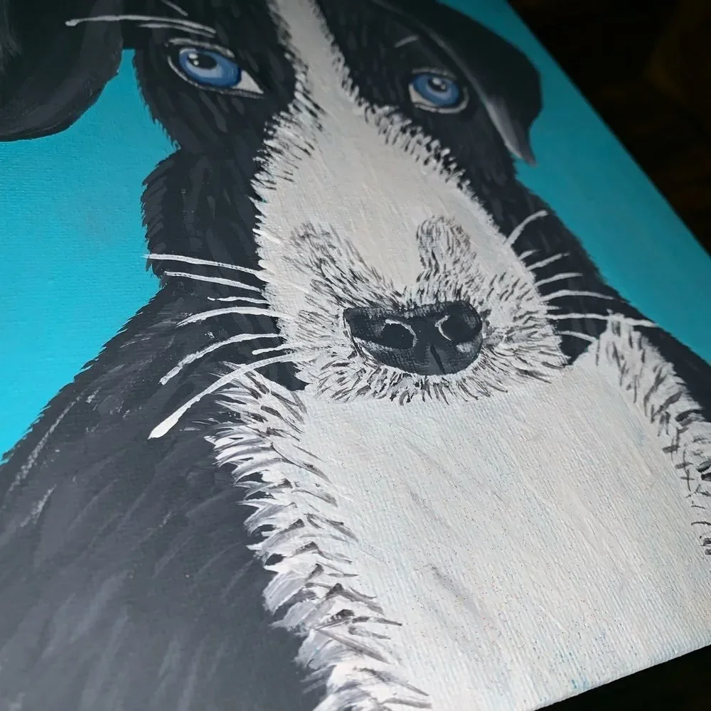 Blue Eyed Puppy